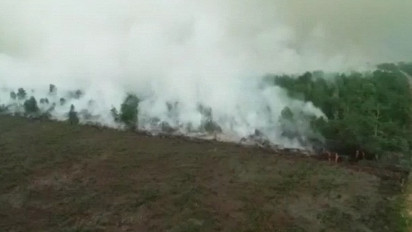 Karhutla Dumai-Bengkalis, Dirreskrimsus Polda Riau Periksa Delapan Saksi