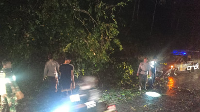 Pohon Tumbang di Jalur Perbukitan Piket Nol, Akibatkan Jalur Lumajang - Malang Tersendat