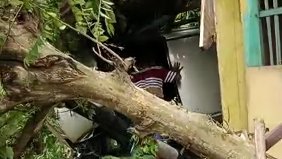 Xenia Seruduk Warung di Jalur Tengkorak Banyumas, Pengemudi Tewas di Lokasi