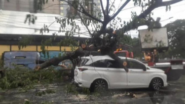 Pengamat Lingkungan Ingatkan Ancaman Perubahan Iklim, Mulai Gelombang Panas Ekstrem hingga Terjadinya El Nino