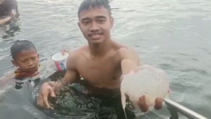 Fenomena Ubur-ubur Jadi Daya Tarik Pengunjung, di Pelabuhan Perikanan Mayangan Kota Probolinggo