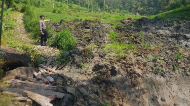 Tanah Longsor di Areal Persawahan Gemparkan Warga Ponorogo
