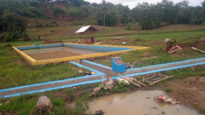 Hadapi El Nino, Mentan SYL Minta Jajaranya Dampingi Para Petani di Lapangan