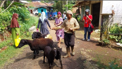 Warga Ciamis Resah, Belasan Ternak Mati Dimangsa Kawanan Hewan Buas