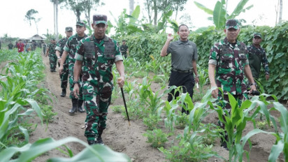 Tekan Inflasi dan Stunting, Pangdam Iskandar Muda Tinjau 3000 Hektare Lahan I’M JAGONG