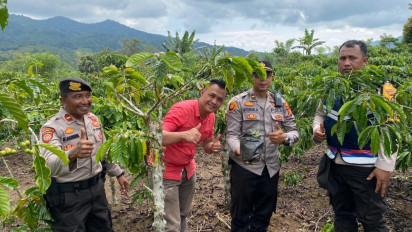 Berkedok Kebun Kopi, Ternyata Ini yang Ditemukan oleh Polres Lampung Barat