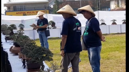 Ratusan Bonsai Ikuti Kontes di Blora