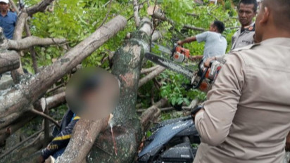 Hujan Badai, Pengendara Ojek Online di Padang Tewas Tertimpa Pohon Tumbang