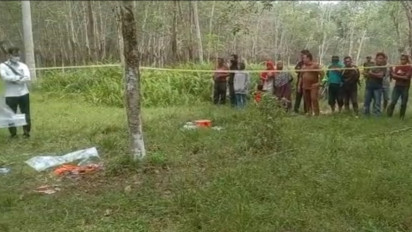 Penemuan Mayat Bayi di Kebun Karet PTPN 3 Gegerkan Warga