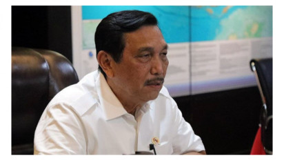 Temuan BPKP, Sembilan Juta Hektare Lahan Perkebunan Sawit Tak Bayar Pajak, Luhut Bilang Begini