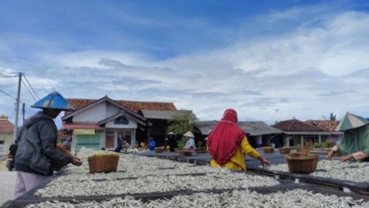 Perajin Ikan Teri Asin Pulau Pasaran Keluhkan Harga Garam Tinggi
