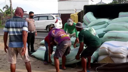 Pecah Ban, Truk Pengangkut Gabah Terguling di Jalinbar Pringsewu