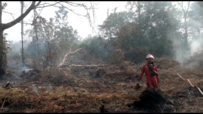 Api Kembali Menyala, Tim Gabungan Gerak Cepat Cegah dan Lakukan Pendinginan di Lokasi Karhutla Pelintung