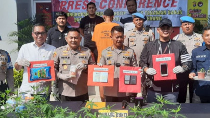 Duh! Beli Bibit Ganja di Thailand Berakhir Ditangkap Polisi