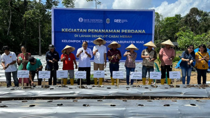 BI Sibolga Replikasi Model Bisnis Pengembangan Klaster Pangan Guna Mendukung Peningkatan Produktifitas Pertanian