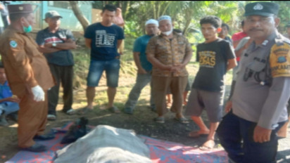 Sopir Truk Pengangkut TBS Mendadak Meninggal Dunia saat Sedang Menyetir