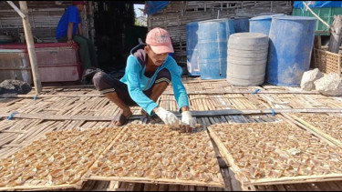 Cuaca Panas Bawa Berkah bagi Produksi Ikan Kering di Mayangan Probolinggo