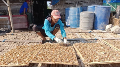 Cuaca Panas Bawa Berkah bagi Produksi Ikan Kering di Mayangan Probolinggo
