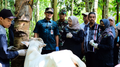 Kasus LSD Tertinggi di Jawa Tengah, Pemkab Kebumen Suntikan 1.200 Vaksin pada Ternak Sapi
