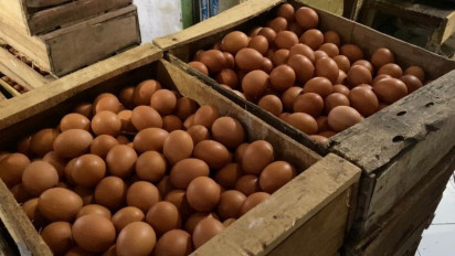 Harga Telur di Semarang Melambung, Tembus Rp 32 Ribu per Kilogram Pedagang Bingung