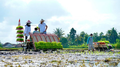 Gelar Jagoan Tani, Rahasia Banyuwangi Ajak Pemuda Tertarik Jadi Petani