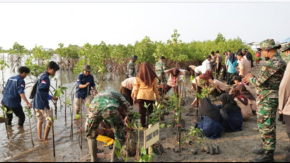 Lestarikan Ekosistem Mangrove, Kodim 0820/Probolinggo Tanam Ribuan Bibit Bakau