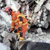 Geger! Pria Suria Ditemukan Selamat Setelah 3 Bulan Tertimbun Reruntuhan Gempa Turki, Begini Kondisinya