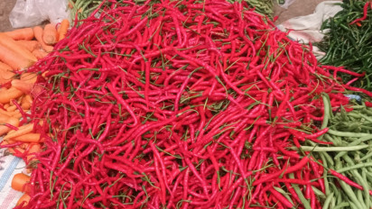 Harga Cabai Merah Tak Lagi Pedas, Harga Bawang Putih Kian Mewangi