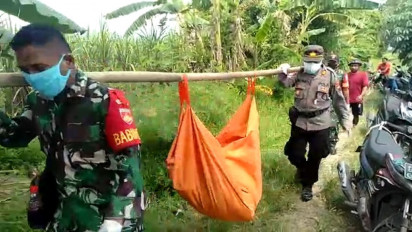 Dilaporkan Hilang Sepekan, Warga Losari Ditemukan Tewas di Ladang Jagung