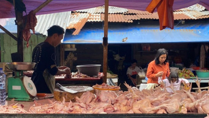 Harga Ayam Potong di Pasar Tradisional Medan Naik Menjadi Rp 35 Ribu per Kilogram