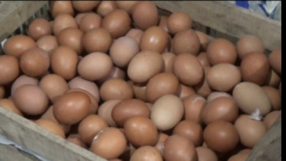 Distribusi Tak Normal, Harga Telur di Pedagang Eceran di Bangkalan Naik Siginifikan