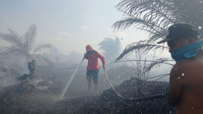 Miris! 50 Hektare Lahan di Bengkalis Terbakar, Polisi Lakukan Ini