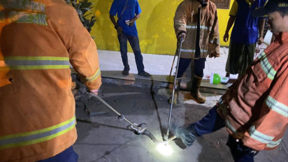 Hendak Angkat Jemuran, Warga di Gresik Kaget Ada Ular Kobra 1,5 Meter Masuk Rumahnya