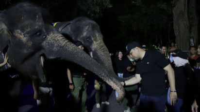Kunjungi Surabaya Night Zoo, Eri Cahyadi : Inovasi yang Layak Diapresiasi