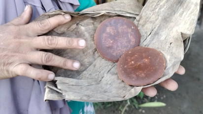 Minta Dukungan Pemerintah, Petani Aren di Bungo Minim Bantuan