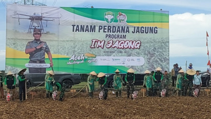 Untuk Meningkatkan Produksi Pangan dan Kesejahteraan Petani, Program I'M Jagong Diluncurkan di Provinsi Aceh