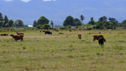 Empat Wilayah di NTT Berstatus Siaga Bencana Kekeringan