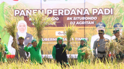 Gubernur Khofifah Panen Padi Varietas BK, Target Jadi Penyokong Lumbung Pangan Jatim