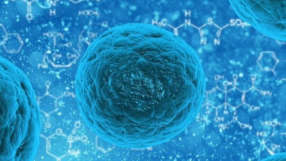 Tekan Lonjakan Kasus Sifilis, Dinkes DIY Intensifkan Penyuluhan