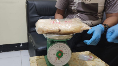 Warga Temukan 3 Paket Kokain Seberat 3,11 Kg saat Mencari Siput di Pesisir Pulau Penson Kecil Kabupaten Anambas