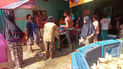 Hari Ini Harga Ayam Broiler dan Bawang Putih Tembus Rp 36.000 di Medan