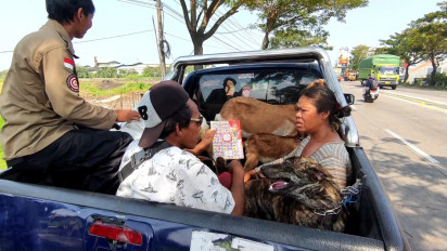 Gelar Razia, Satpol PP Pati Amankan Pasutri Gelandangan Asal Bali
