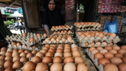 Tekan Harga Telur Ayam yang Masih Melejit, Disperindag DIY Intensifkan Operasi Pasar