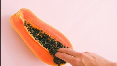 Ginjal Sehat Pencernaan Lancar, Cukup Konsumsi Biji Pepaya, Silakan Coba!