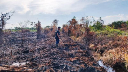 BPBD Memastikan Kebakaran Hutan dan Lahan Seluas 1,5 Hektare di Aceh Barat Sudah Padam Sepenuhnya