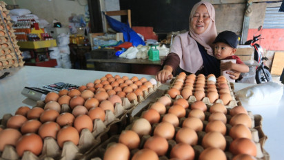 Harga Bahan Pangan Awal 2025: Cabai Rawit Rp56.690/Kg, Telur Ayam Rp30.930/Kg