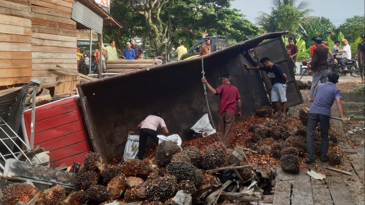 Ditabrak dari Belakang, Truk Muatan Sawit Terguling dan Timpa Rumah Warga
            - galeri foto