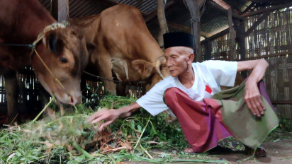Kisah Kakek Usia 100 Tahun asal Pasuruan, Jual 4 Sapi untuk Naik Haji