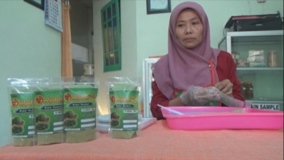 Bubuk Minuman Instan Daun Kelor Asal Jombang Banyak Dipesan Calon Haji