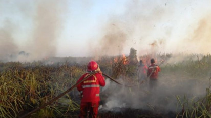 Delapan Hektare Lahan di Palangkaraya Hangus Terdampak Karhutla, BNPB sebut Terjadi di Ladang Gambut